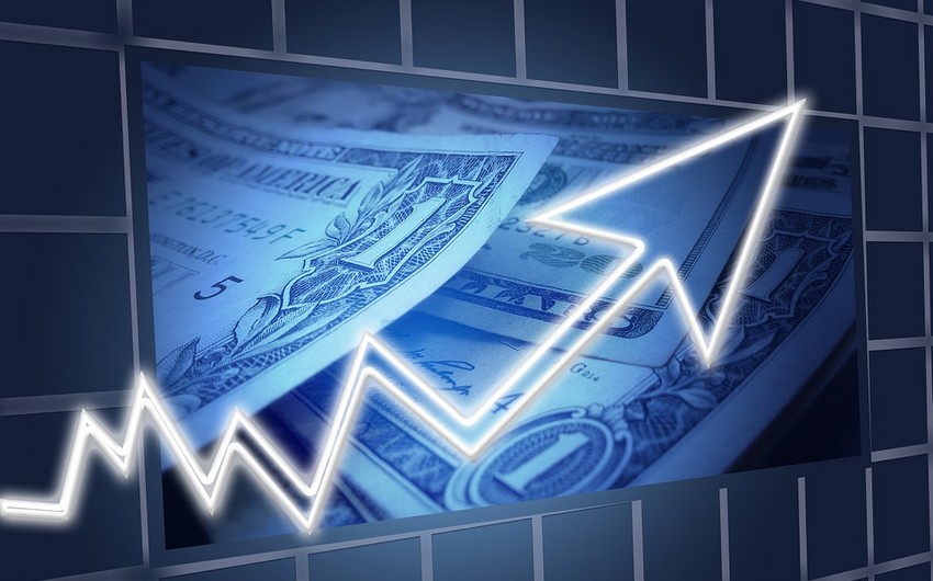 Dolların bahalaşmasının Azərbaycan büdcəsinə 100 mln. manat təsiri olub