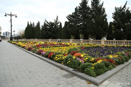 Ucuz çayxanalar da var... - BULVARDAN REPORTAJ