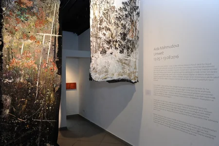 Rəssam Aida Mahmudovanın Umwelt adlı fərdi sərgisi açılıb - FOTO