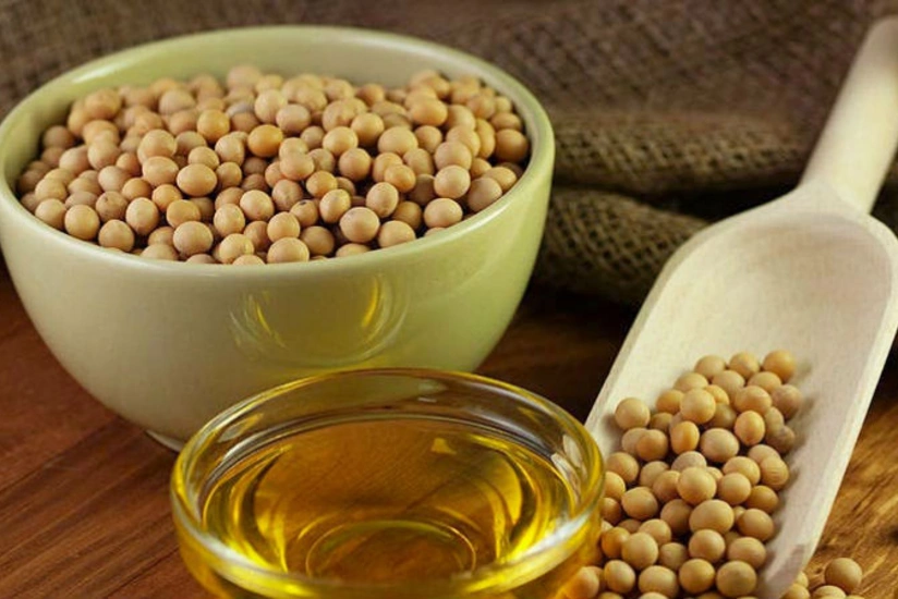 Азербайджан существенно увеличил импорт соевого масла из Турции