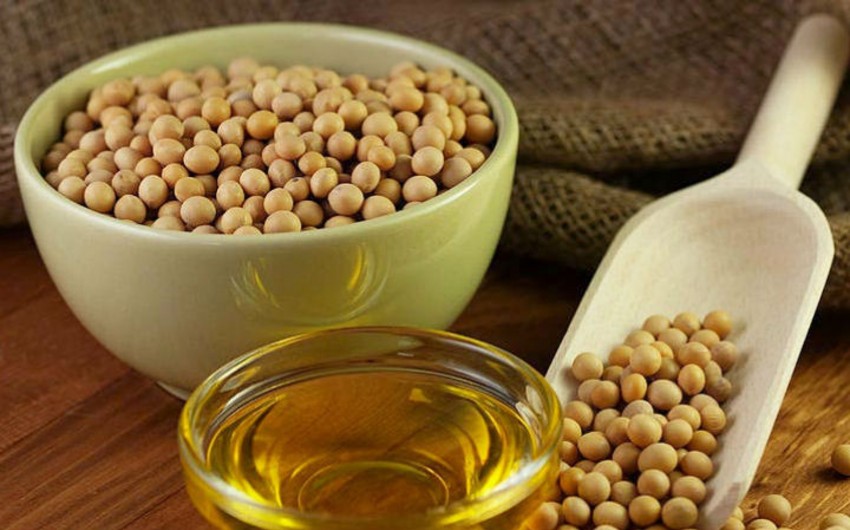 Azərbaycan Türkiyədən soya yağının idxalını kəskin artırıb