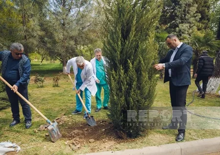 Gəncədə Heydər Əliyevin 100 illiyinə həsr olunan ağacəkmə aksiyası keçirilib