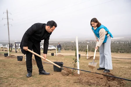 Gənclər Günü münasibətilə ağacəkmə aksiyası keçirilib, gələcək üçün yeni, sağlam dünya yaratmağa çağırış edilib