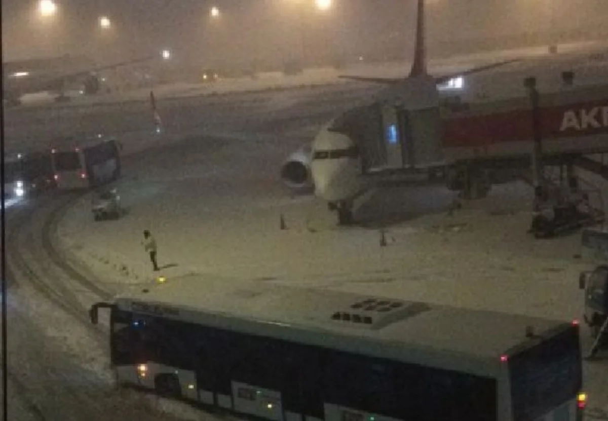 Turkish Airlines отменила 395 рейсов, а также по направлениям Баку и Гянджа