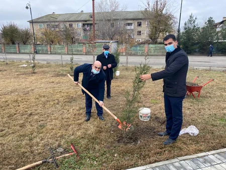 Kürdəmirdə şəhidlərin şərəfinə şam ağacları əkilib