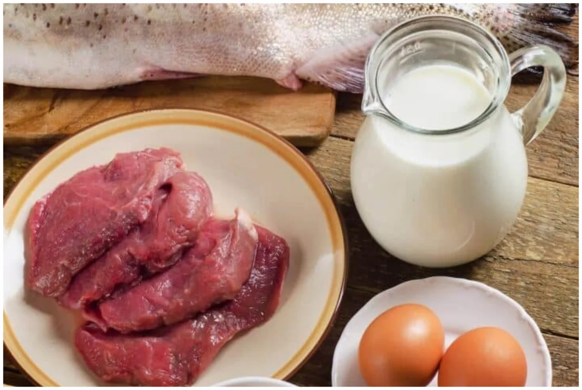 Азербайджан импортировал мясо и молочные продукты из Владимирской области РФ