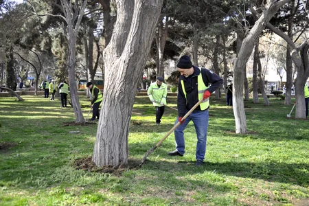 В Баку проведен общегородской субботник
