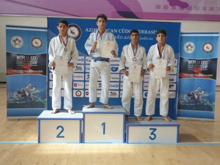 Yeniyetmə cüdoçuların Cənub regional birinciliyinə yekun vurulub