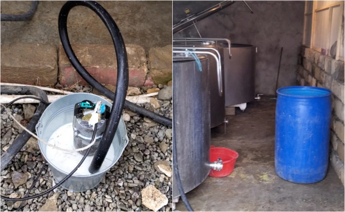 Ağcabədidə qanunsuz işləyən süd qəbulu məntəqəsi bağlanıb