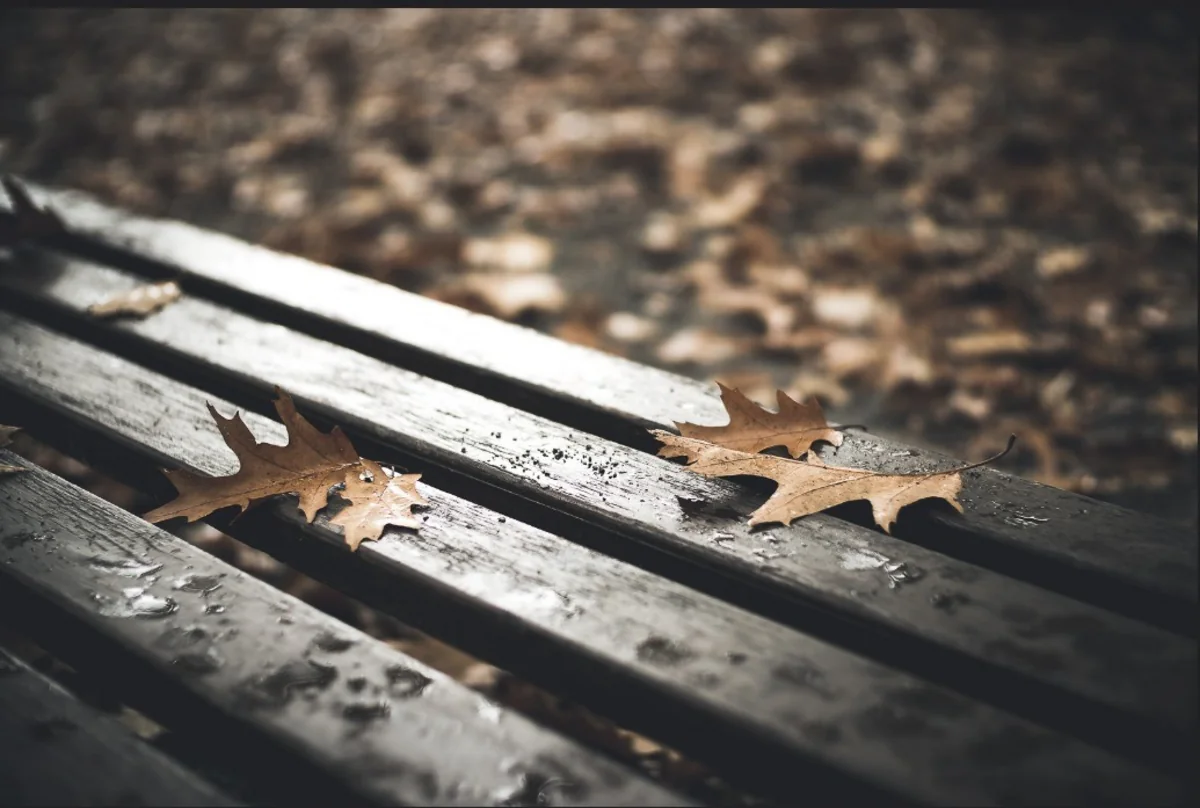 В Азербайджане ожидаются интенсивные осадки