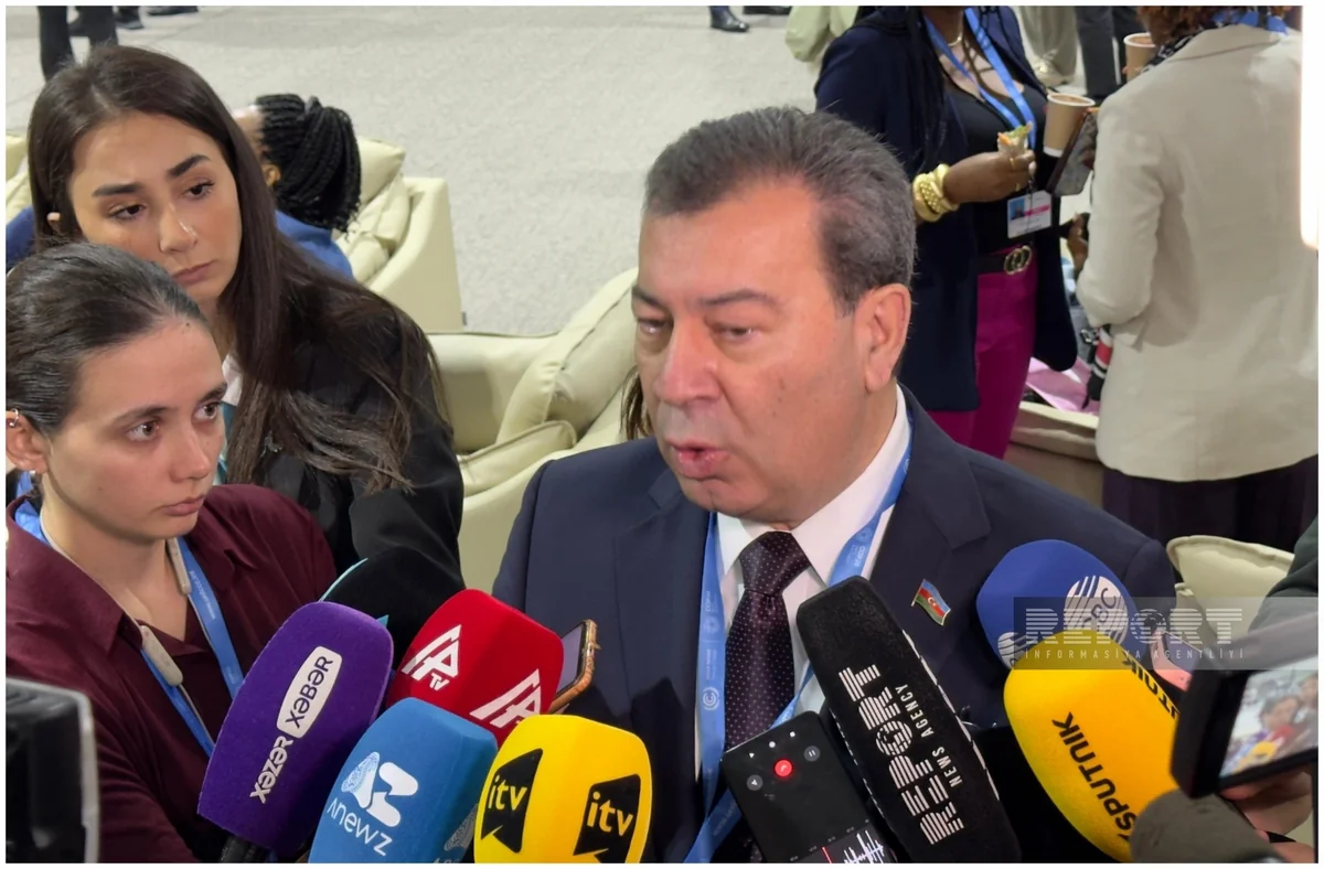 Azerbaijani MP: COP29 is a UN event, boycotting it lacks sense
