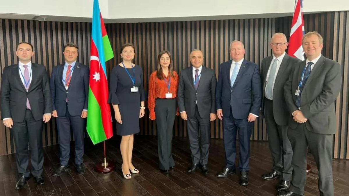 Delegations of Azerbaijan and Great Britain meet in OSCE PA