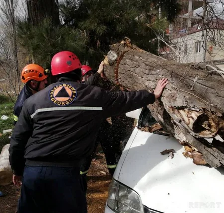 Gürcüstanda qasırğa olub, 87 ağac aşıb, 62 binanın dam örtüyü uçub
