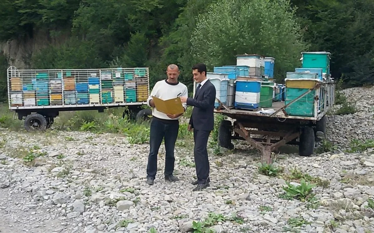 Şamaxıda arıçılarla görüş keçiriləcək