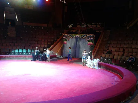 Bakı Dövlət Sirkində ilk dəfə olaraq pinqvinlər manejə çıxacaq - FOTO