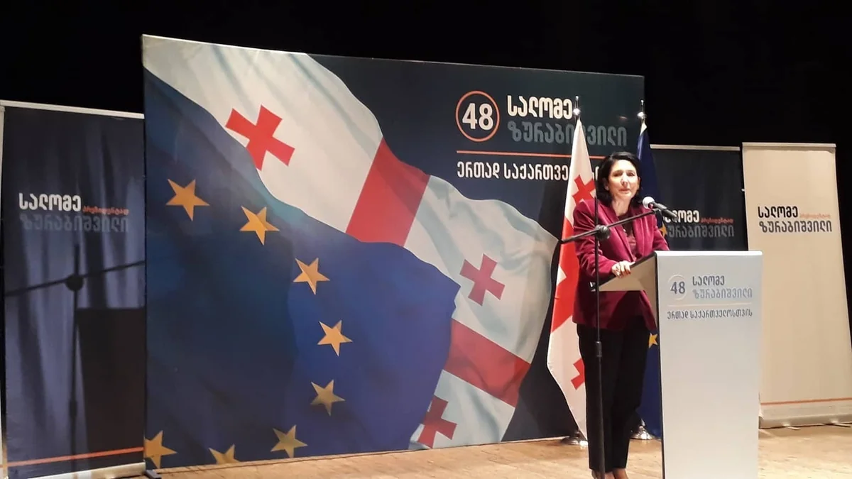 Candidate for Presidency: Georgian Azerbaijanis should preserve their native language