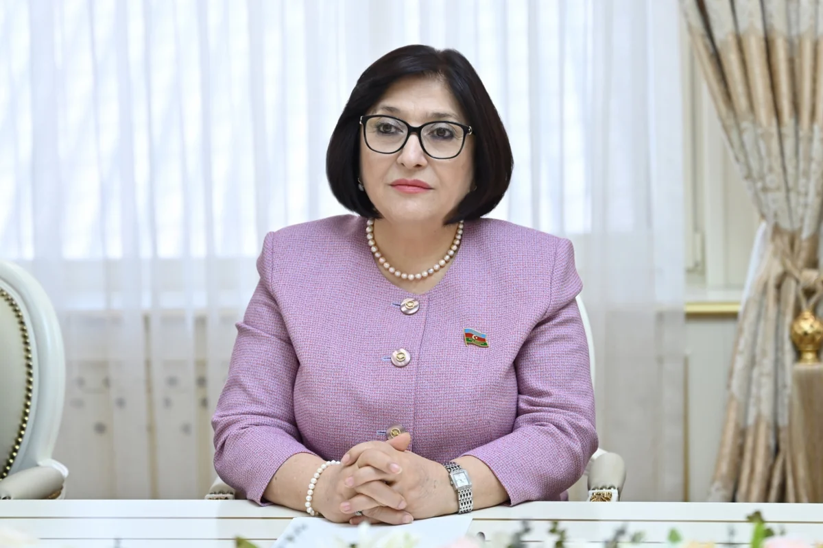 Sahibə Qafarova: Bir sıra təşkilatlarda islamofobiya, azərbaycanofobiya hökm sürür