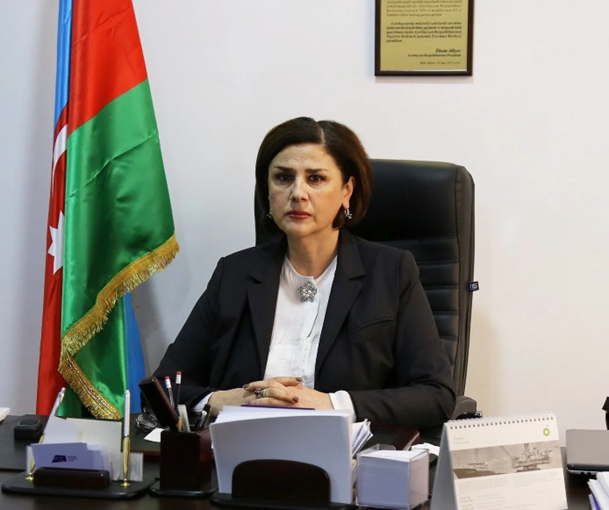 Afaq Məsud: Dilçilik İnstitutunun lüğətində danq-dunq, vıj-vıj kimi sözlər yer alıb