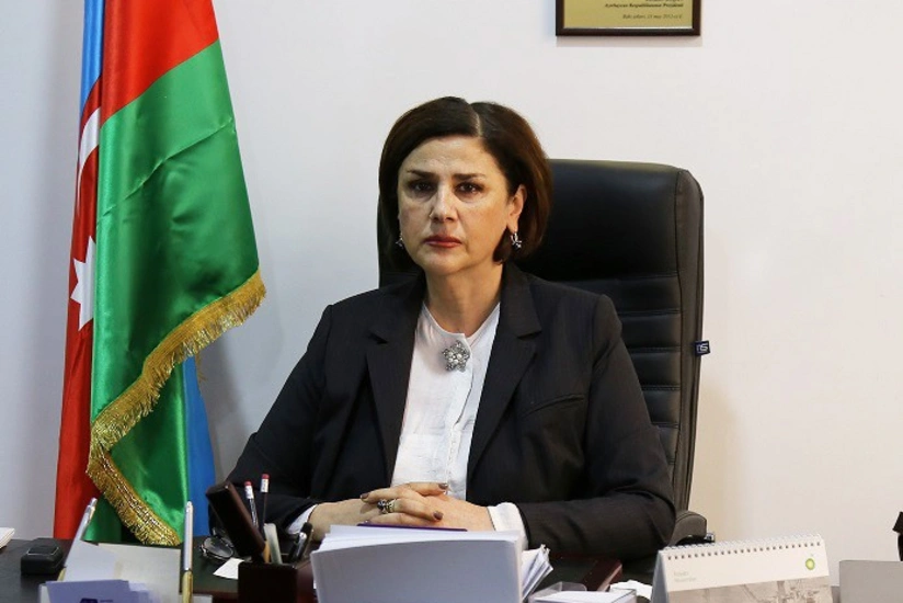 Afaq Məsud: Dilçilik İnstitutunun lüğətində danq-dunq, vıj-vıj kimi sözlər yer alıb