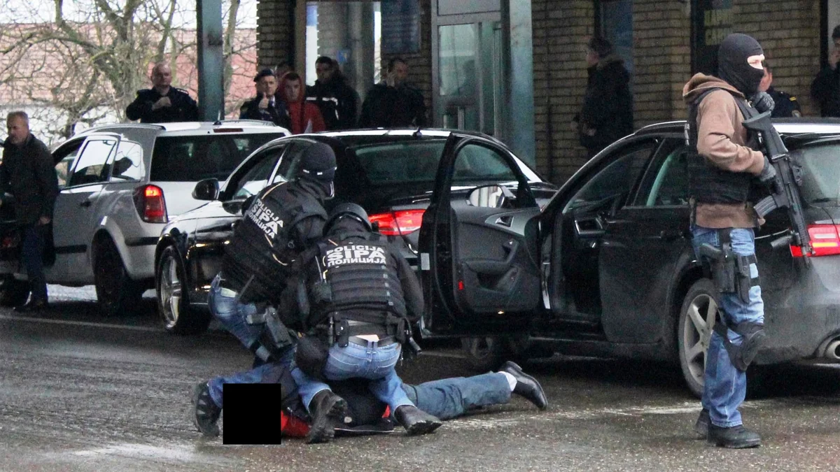 Swedish police apprehend person suspected of preparing terrorist crimes