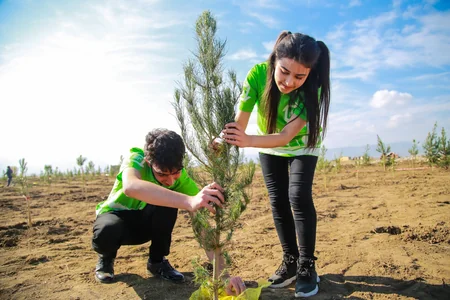 Prezidentin xüsusi nümayəndəsi Ağdamda gənclərlə ağac əkib