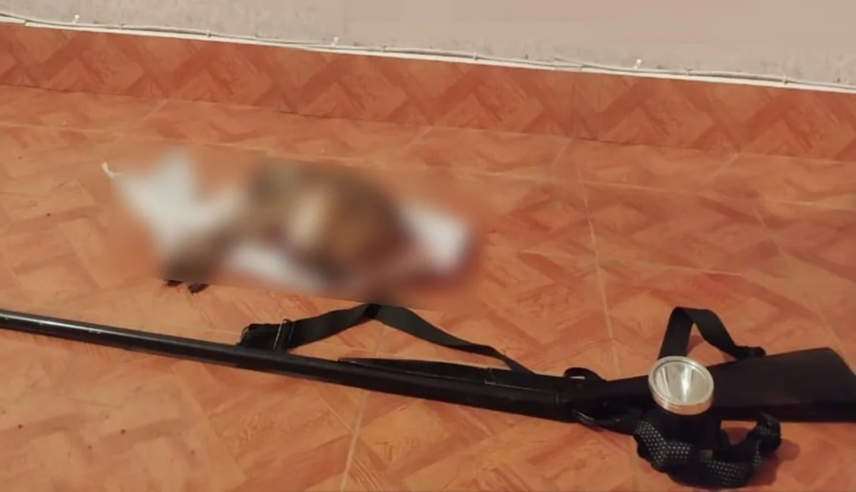 Masallıda qanunsuz ov edən şəxs saxlanılıb