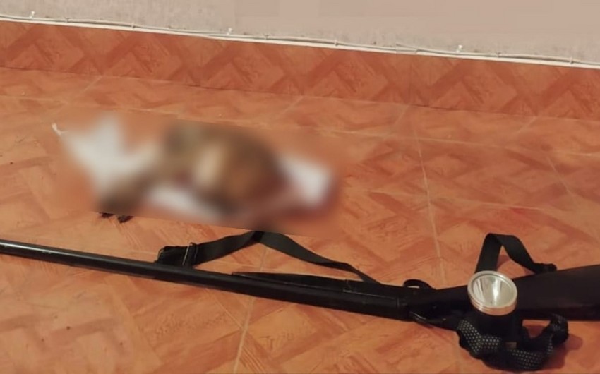 В Масаллы задержали подозреваемого в браконьерстве