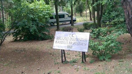 Директор обсерватории Кандилли: Мы прогнозируем землетрясение в Стамбуле силой 7-7.5 баллов – ЭКСКЛЮЗИВ