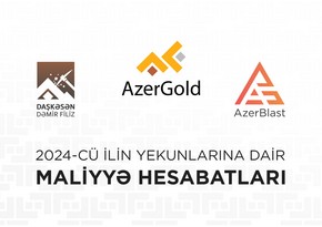 “AzerGold” və onun törəmə şirkətlərinin ötən ilin yekunlarına dair maliyyə nəticələri açıqlanıb