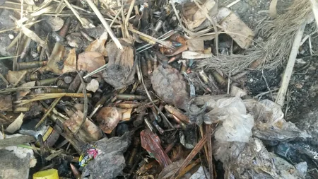 Bakıda zibillikdən qumbara və xeyli sayda patron tapılıb