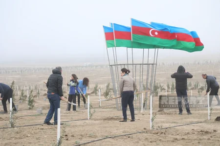 Heydər Əliyevin 100 illik yubileyi ilə əlaqədar növbəti ağacəkmə aksiyası keçirilib
