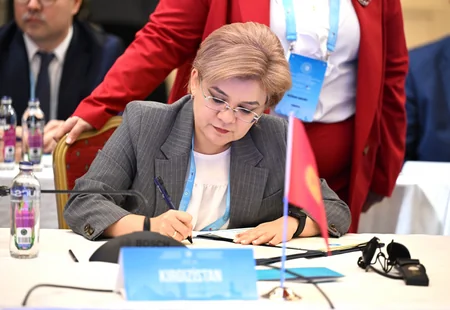 Очередная встреча министров ОТГ пройдет в Азербайджане