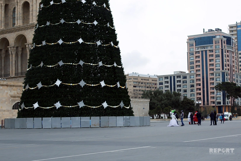 Bakının Yeni il bayramı üçün bəzədilmiş şam ağacları - FOTOREPORTAJ