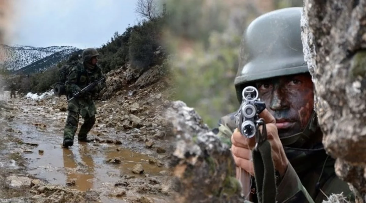 Türkiyədə bir gün ərzində 36 PKK terrorçusu məhv edilib
