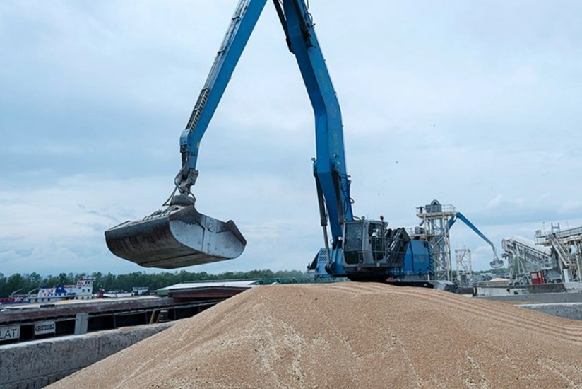 Əlcəzair Fransa şirkətlərini buğda idxalı tenderindən kənarlaşdırıb