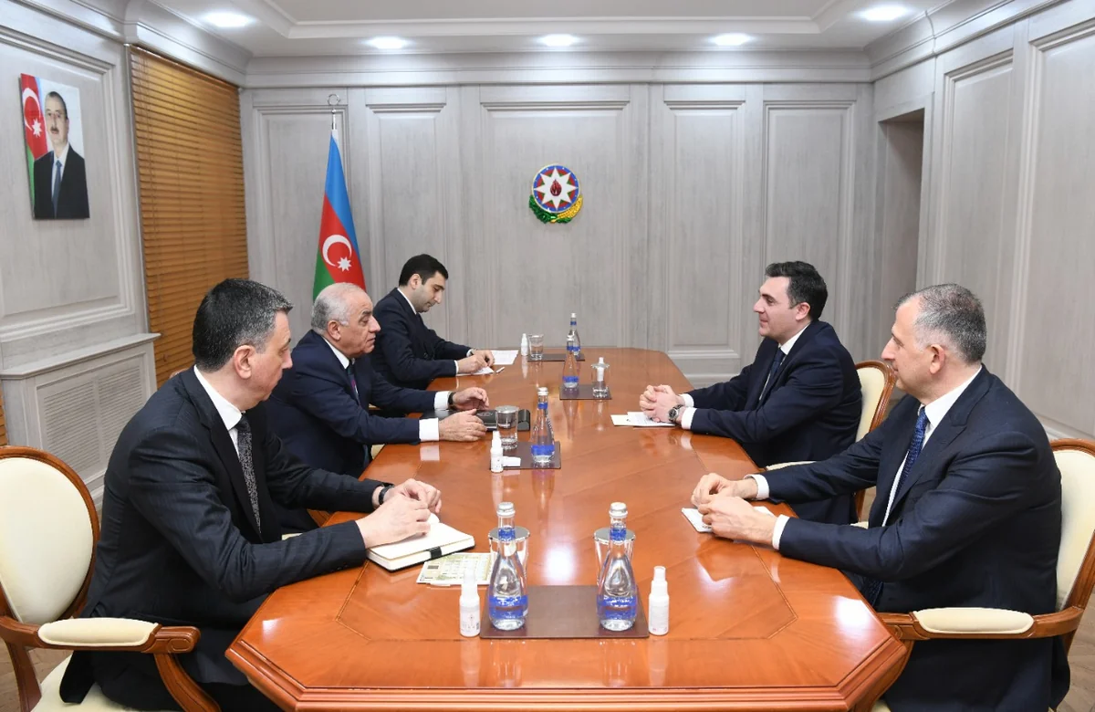 Əli Əsədov Gürcüstanın xarici işlər naziri ilə görüşüb