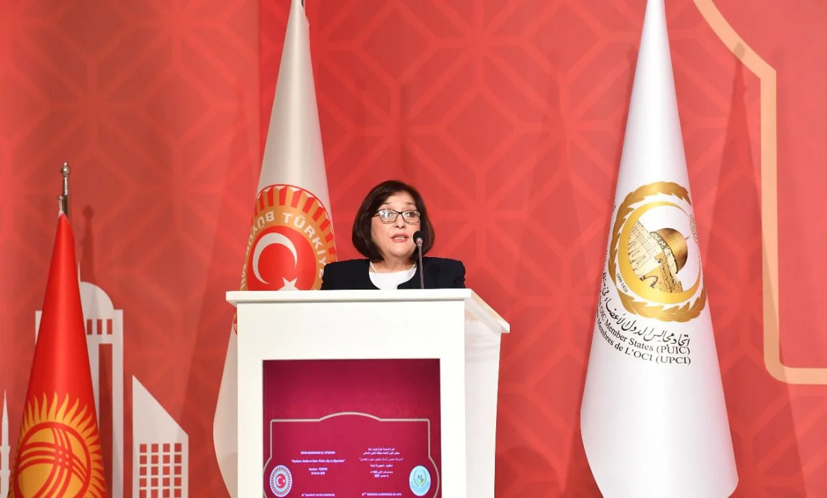 Sahibə Qafarova: Ermənistan regionda vəziyyəti gərginləşdirən hərəkətlərə yol verməməlidir