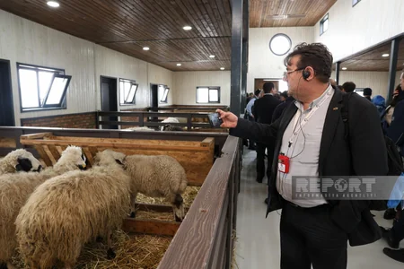 Xarici diplomatlar və hərbi attaşelər Laçında Həkəri çayına balıq körpələri buraxıblar - YENİLƏNİB-2
