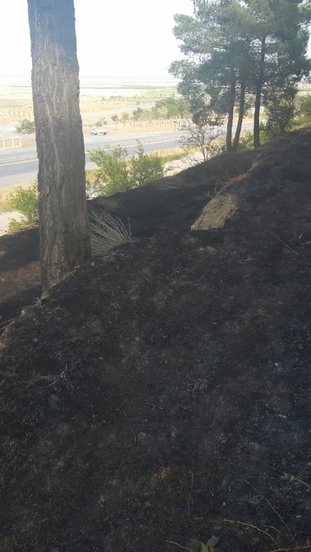 Şabrandakı yanğın söndürülüb