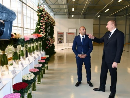 Prezident Qəbələdə gülçülük istixanası ilə tanış olub - YENİLƏNİB