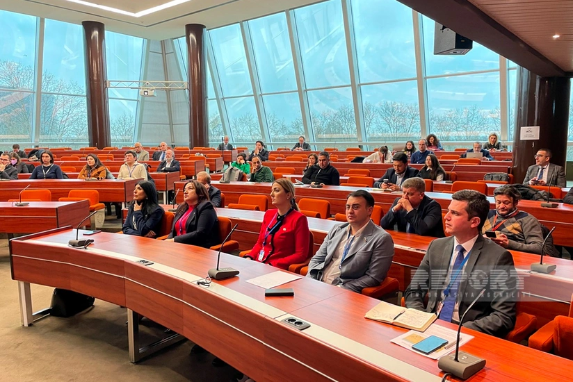 В ПАСЕ состоялось мероприятие, посвященное минной проблеме Азербайджана