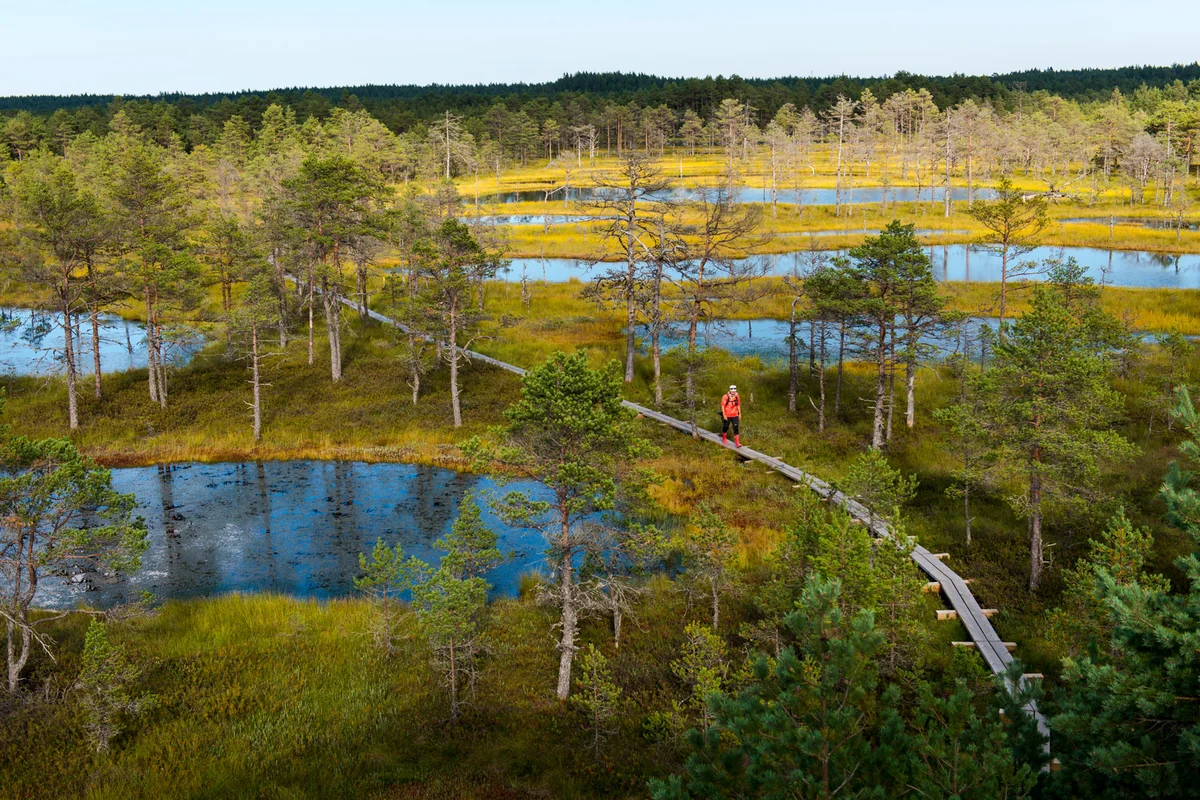 Baltic republics to be connected by hiking trail