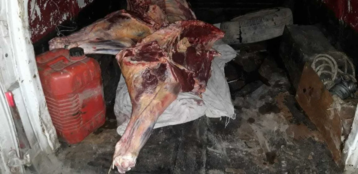 Ağdamda 180 kq istifadəyə yararsız heyvan cəmdəyi aşkarlanıb