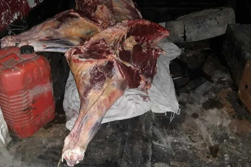 Ağdamda 180 kq istifadəyə yararsız heyvan cəmdəyi aşkarlanıb