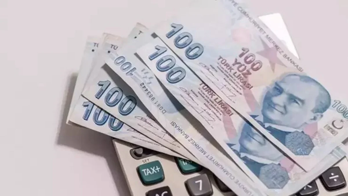 Turkish Finance Ministry: Delayed effect of monetary policy to lead to disinflation
