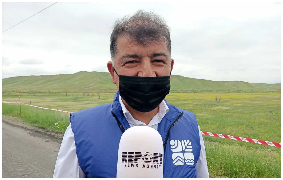 Nazir müavini: Meşə ilə örtülü sahənin 54 min hektarını ermənilər məhv edib