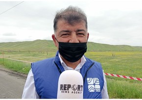 Nazir müavini: Meşə ilə örtülü sahənin 54 min hektarını ermənilər məhv edib 