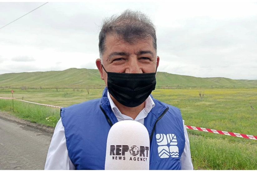 Nazir müavini: Meşə ilə örtülü sahənin 54 min hektarını ermənilər məhv edib
