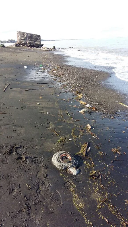 Lənkəranda tank əleyhinə mina tapılıb