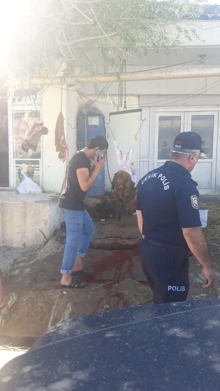 Sarayda qanunsuz ət kəsimi ilə məşğul olan şəxslər saxlanılıblar